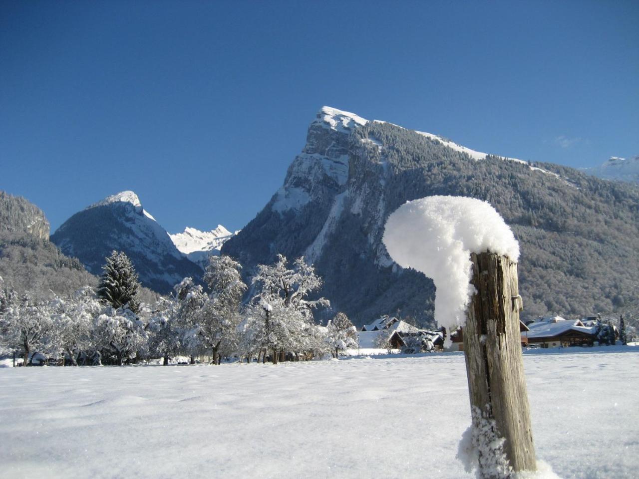 Samoens Apartment 2 Bedroom 50M2 Modern And Well Equipt المظهر الخارجي الصورة