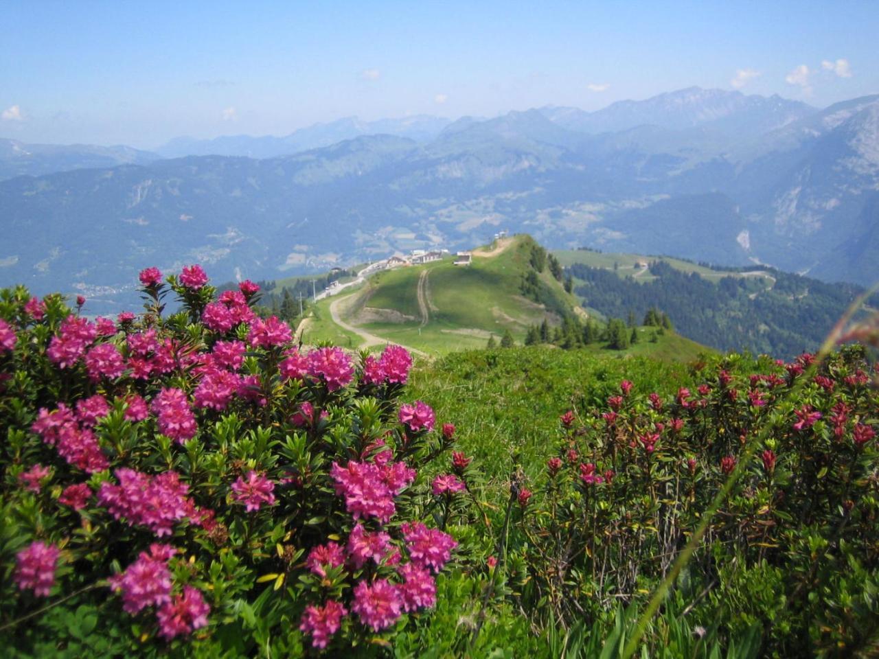 Samoens Apartment 2 Bedroom 50M2 Modern And Well Equipt المظهر الخارجي الصورة